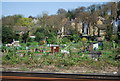 Allotments by the railway, Bromley