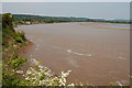 River cliff near Bullo Pill