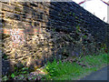 Rock strata by National Cycle Network Route 7