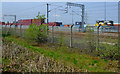 Container Yard at Elderslie