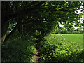 Footpath towards Wickhurst Farm