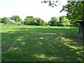 Trees bordering pond near Windmill Nursery