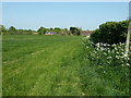 Houses on Langton Lane