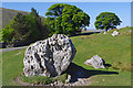 Limestone boulder