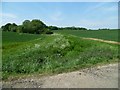 Green valley by bridleway near Medhone Farm