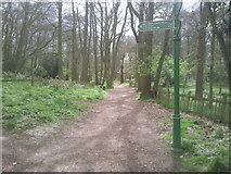 TQ4778 : Green Chain Walk in Lesnes Abbey Woods by Marathon