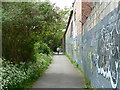 Avon pathway near Totterdown, Bristol