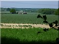 Medhone Farm from the south