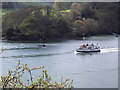 SX8754 : A boat on the River Dart by Anthony Vosper
