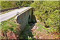 Bridge over the Burn of Sheeoch