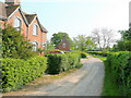 Cottages by Bovone Lane