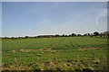 Field view from the train