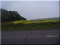 Countryside by A4251 at Wigginton