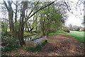 Water trough by the Wey South Path