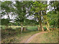 Gate Into Field, Holt Heath