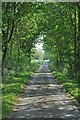 Thames Path east of Castle Eaton