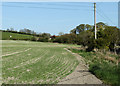 2011 : Fields north of Up Street, Upton Lovell