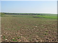 Fields south of St Bride