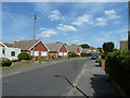 Telegraph pole in Burwood Close