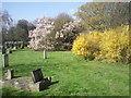 Fulham Cemetery in the spring