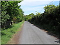 The NI Water road through Annalong Wood