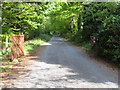 J3522 : The sylvan NI Water road at Annalong Wood by Eric Jones