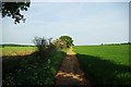 Footpath 10 Near Wyfields Farm