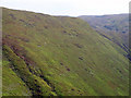 SN8193 : Sheep grazing on the slopes of  Tarren Bwlch-gwyn by John Lucas