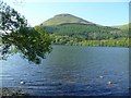 NY1221 : Loweswater by Michael Graham