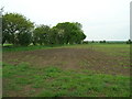 Farmland near Meadow View Farm