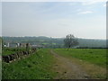 Footpath - Rodley Lane