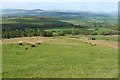 Northern side of Meikle Caldon Hill