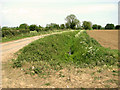 Ditch beside Long Road, Silfield