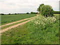 Public footpath from Silfield Road to Park Farm, Silfield