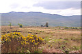 Looking across Kentra Moss to Raelands