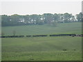 Cultivation  Terraces  at  Croome  Farm