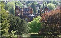 Rosebank Gardens and the Tudor Hotel