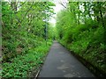 Milngavie, old railway track