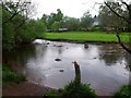 Milngavie, Allander Water