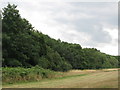 Field and woodland, Monks Orchard