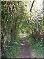 Footpath to the A12