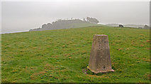TQ1312 : Trig point of Chactonbury Hill by Trevor Littlewood