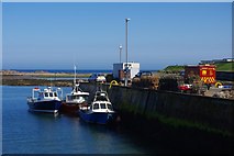 NU2232 : Boats at Seahouses Harbour by Phil Champion