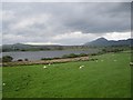 L9876 : Rich sheep pasture on the east side of Lough Moher; Croag Patrick in the distance by Keith Salvesen
