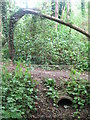 Drain feeding The Beck, High Broom Wood