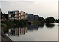 Reflections in the Trent