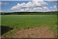 Arable land near Abbots Morton