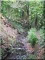 The Beck, High Broom Wood (18)