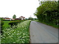 National Cycle Route 10 near Marsh Common