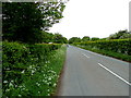 National Cycle Route 10 near Berwick, South Gloucestershire